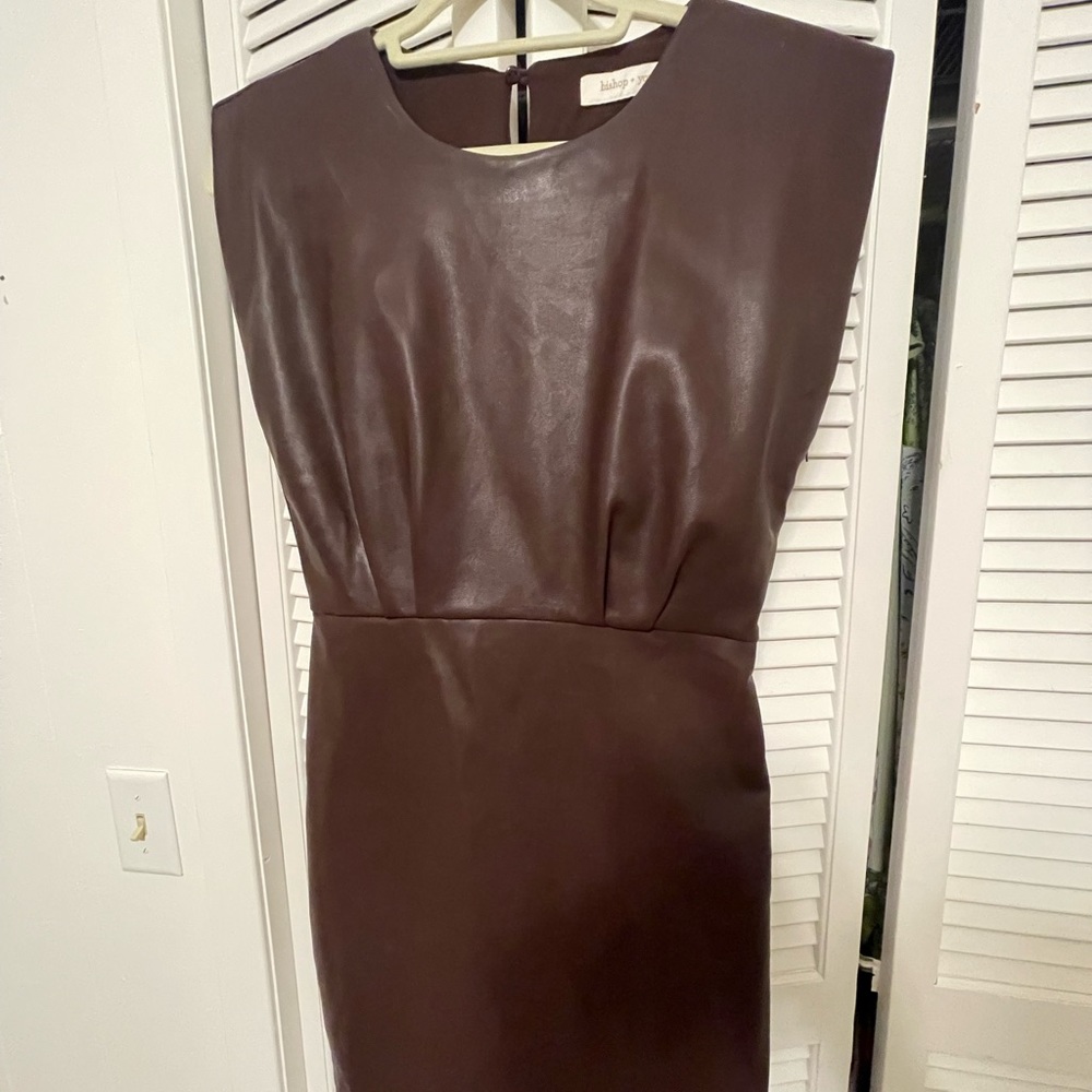 Bishop + Young Leather Brown Dress